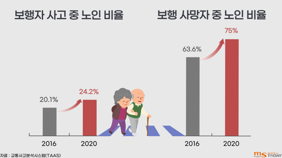 전체 보행사고 사상자 중 노인보행자가 차지하는 비율은 매년 크게 늘고 있다. (그래픽=조아서 기자)