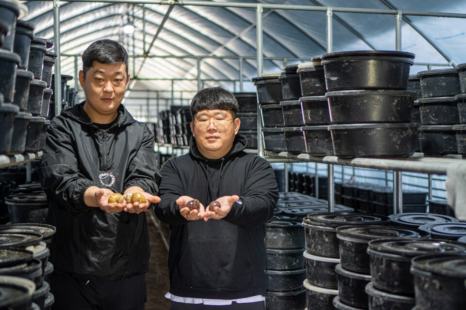 춘천 신동면 정족리에서 달팽이농장을 운영하고 있는 차성현(왼쪽)·성호 형제. (사진=서충식 기자)