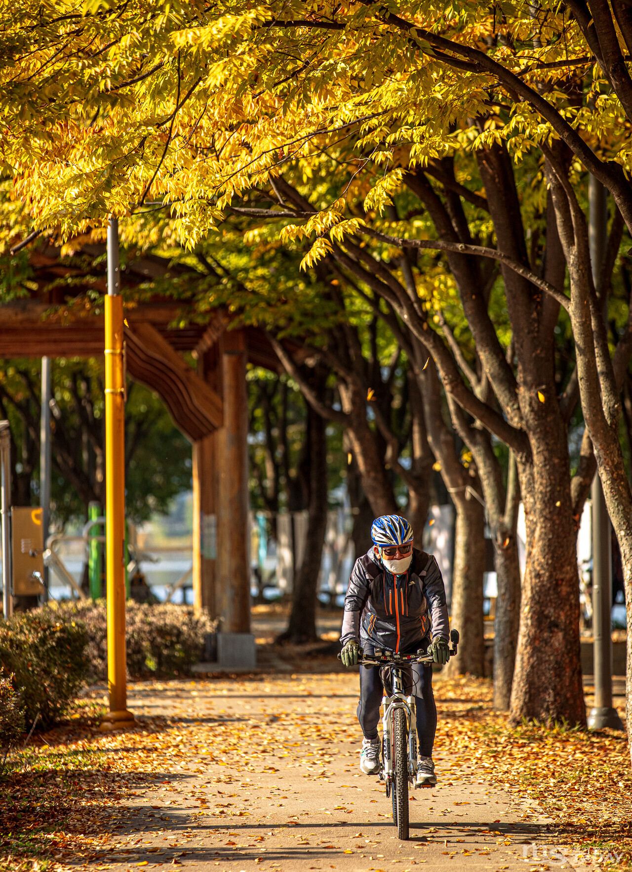 지난달 29일 춘천 공지천 의암공원에서 한 시민이 자전거 라이딩을 하며 가을의 낭만을 만끽하고 있다. 
