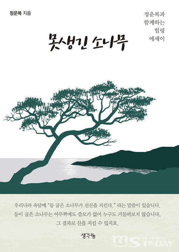 정운복 작가의 ‘못생긴 소나무’. (사진=생각나눔)
