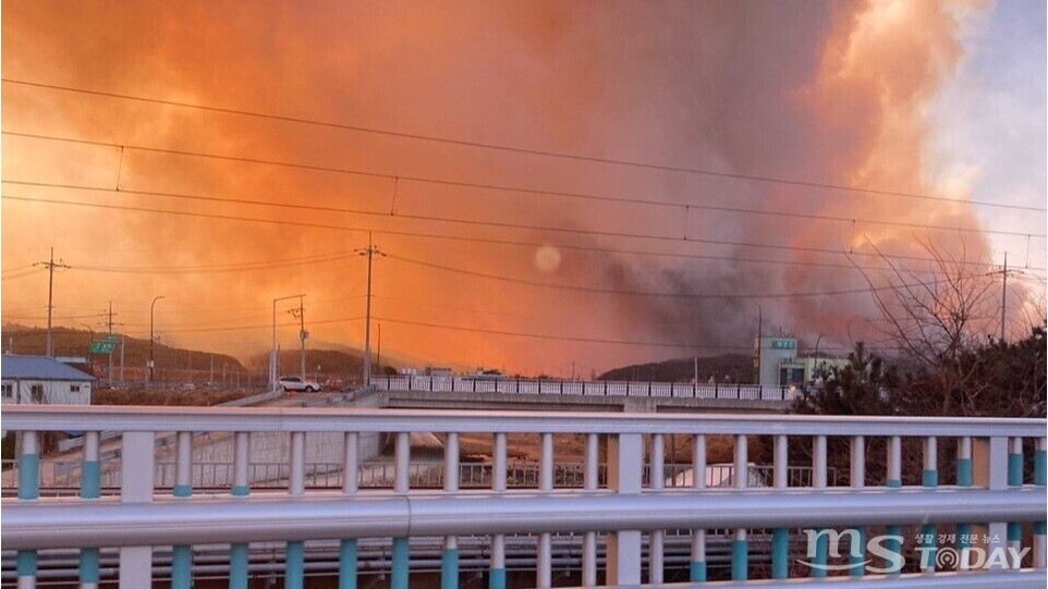 동해 망상지역에 산불이 거세게 일고 있다. (사진=MS투데이 DB)