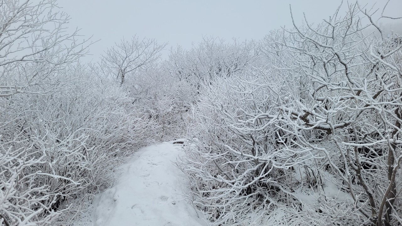 18일 강원 산지에 많은 눈이 내려 설악산 중청대피소 일대가 설경의 장관을 이루고 있다. (사진=설악산국립공원사무소)