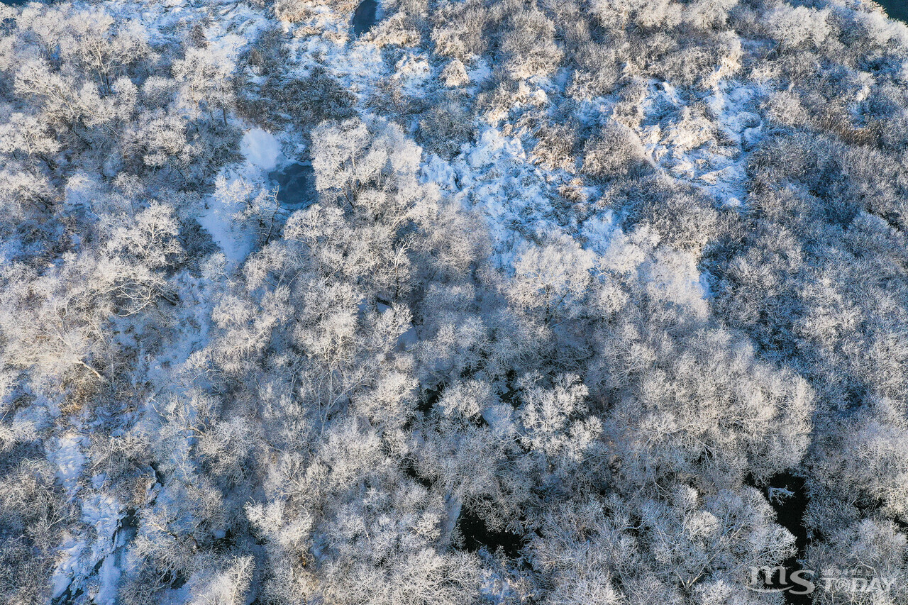 상고대는 영하의 온도에서 물방울이 하얗게 얼어붙어 눈꽃처럼 핀 것을 이른다.