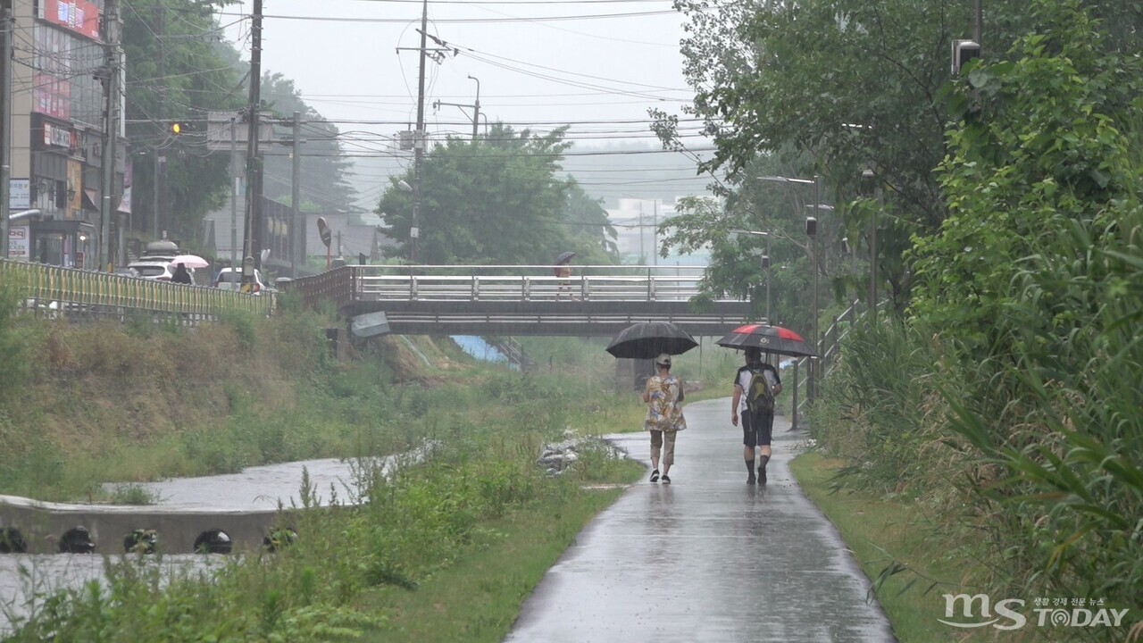 춘천시민들이 우산을 쓰고 걷고 있다. (사진=MS투데이 DB)