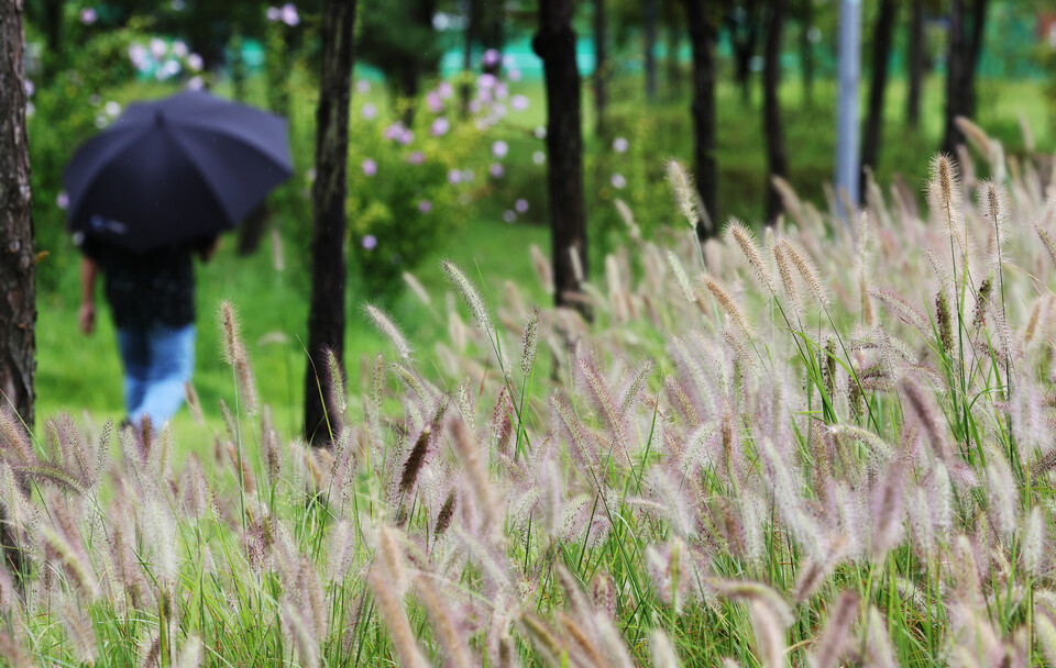 한 시민이 우산을 쓰고 걷고 있다. (사진=연합뉴스)