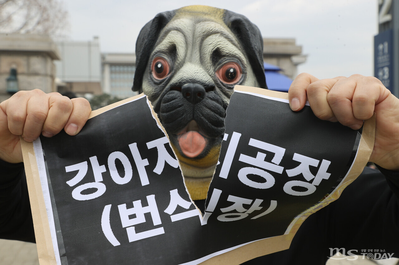 한국동물보호연합 활동가들이 국제 강아지의 날을 하루 앞둔 22일 국회 앞에서 강아지 공장(번식장) 폐쇄를 촉구하는 퍼포먼스를 하고 있다. (사진=연합뉴스)