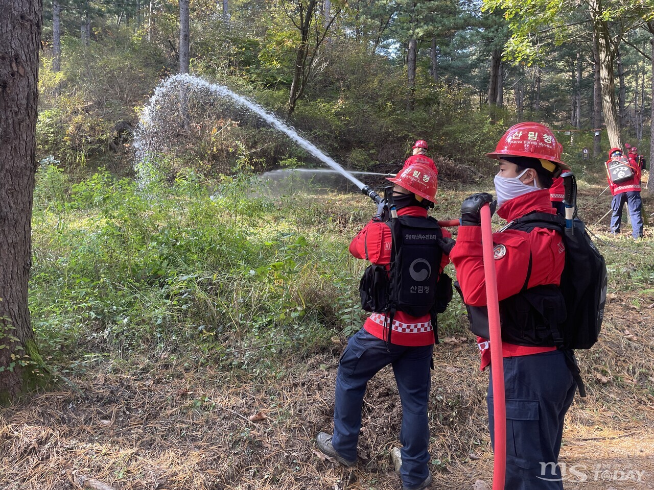 춘천국유림관리소 소속 산불전문예방진화대원이 진화훈련을 하고 있다. (사진=산림청 춘천국유림관리소)